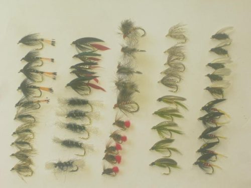 50 assorted wet fly fishing flies for sale