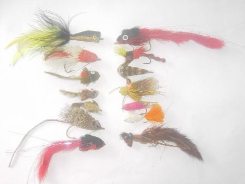 50 Assorted bass bug fishing flies