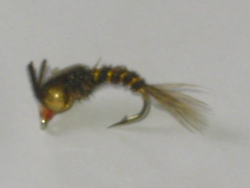 Tungsten thorax nymph