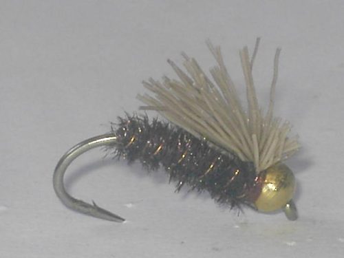 B.H. Syclone Nymph Natural Peacock
