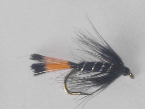 Black Pennell Wet Fly
