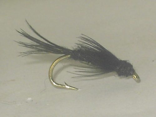 Birdnest black