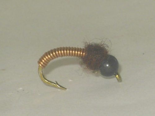 Black bh copper nymph