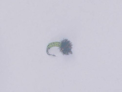 Brassie chartreuse