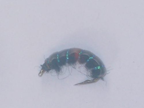 Czech nymph 1