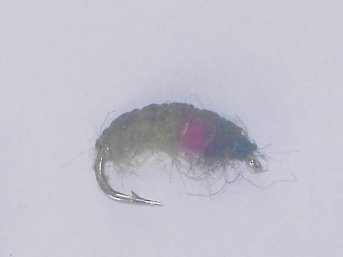 Czech nymph 2