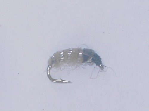 Czech nymph 4