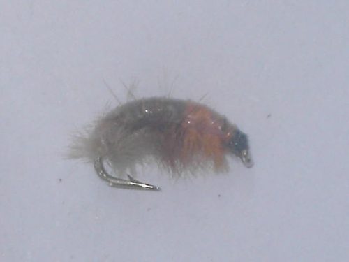 Czech nymph 8
