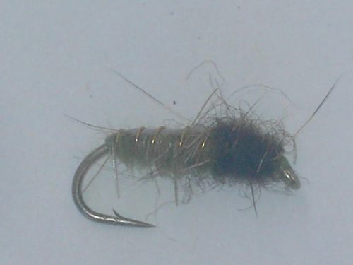 Electric caddis olive