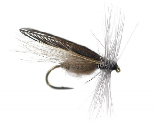 CDC Stonefly