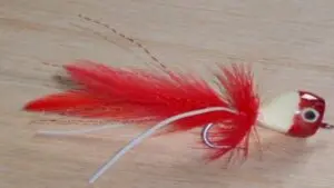 fish bass fish bass