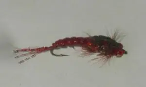 fish woven fish woven