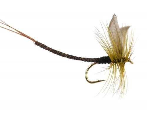 Adams Extended Body Dry MayFly