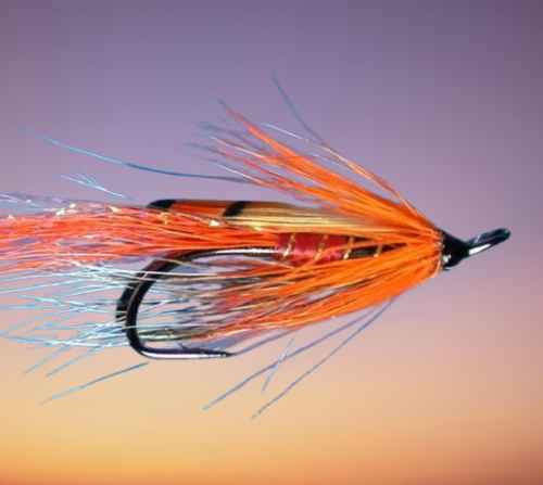 Ally's Shrimp Salmon Fly