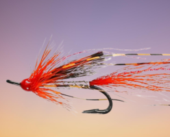 Ally's Shrimp Silver Double Salmon Fly