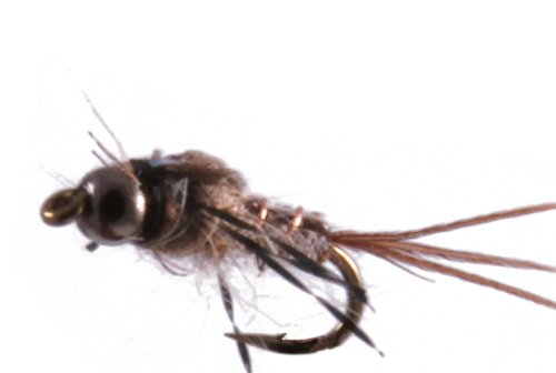 Anatomic Nymph, Hares Ear