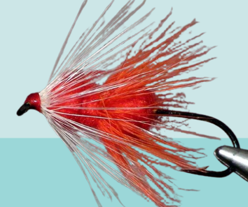 Babine Special salmon fly pattern