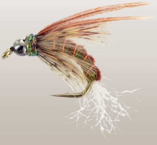 Bjorn's Baddest Caddis Brown is the Caddis Nymph Fly Pattern