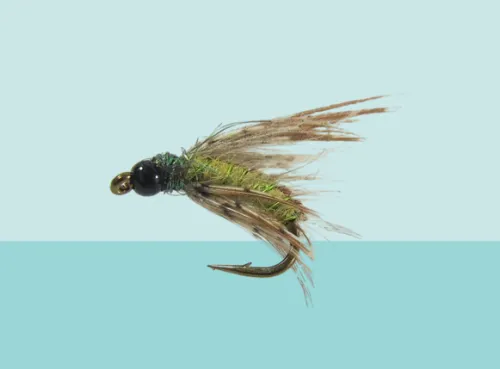 Bjorn's Baddest Caddis Olive nymph fly