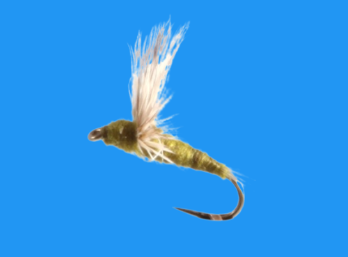 Blue Winged Olive, Comparadun, BaetisOlive
