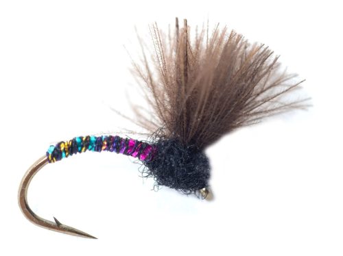 CDC Midge Pupa