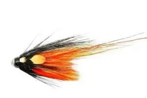 Cascade Shrimp PBP tube fly fishing pattern