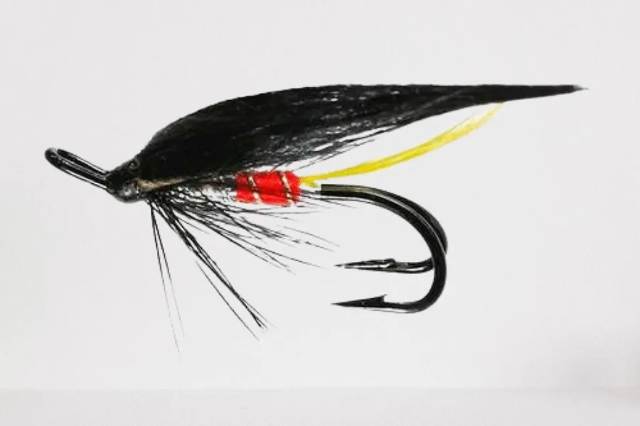 Editor Tail Friggi Double Salmon Fly