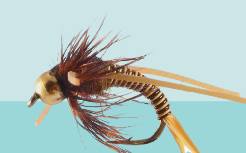 Jumbo Wired Golden Copper John Nymphs