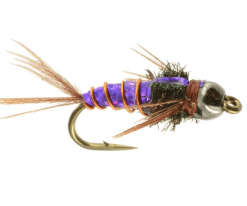 Pheasant Tail Purple Ice scud fly