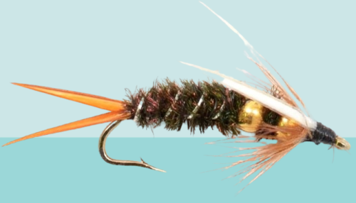 Prince Nymph, Double Bead Head