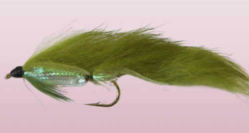 Zonker, Olive fly
