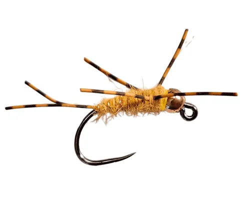 Dirty Hipster Golden nymph Stone Fly