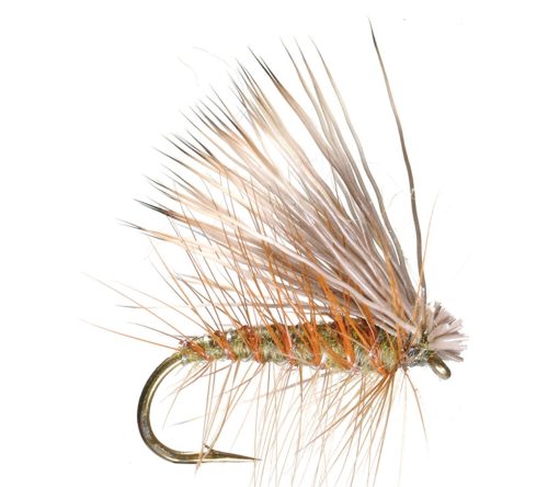 Elk Hair Caddis Fishing fly pattern