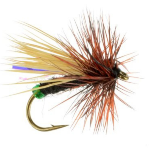 Grannom Caddis Dry Fly Pattern