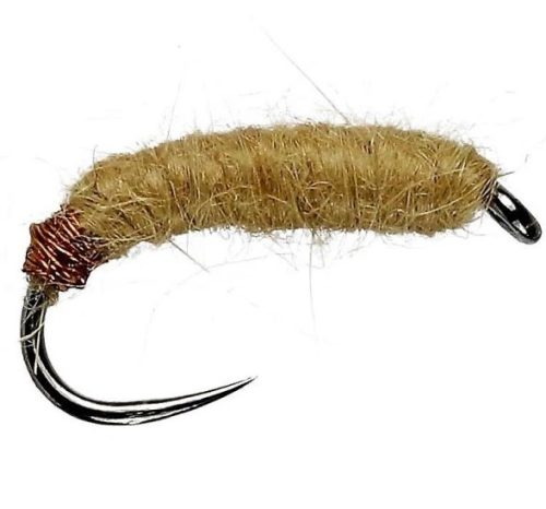Sawyer Killer Bug fly