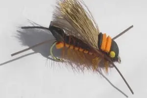 Bullet Head Flies