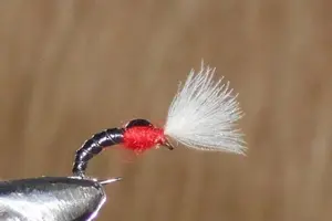 Cdc flies