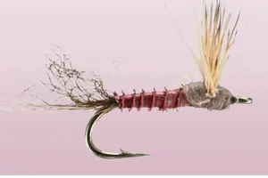 Mayflies