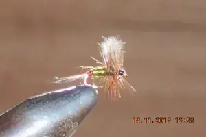 Midge Nymphs