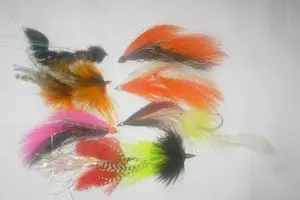 assorted flies