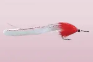 saltwater flies