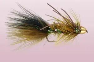 stoneflies nymphs